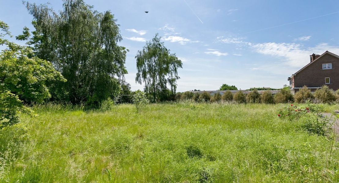 Bouwgrond (projecten) te koop in Meise Wolvertem