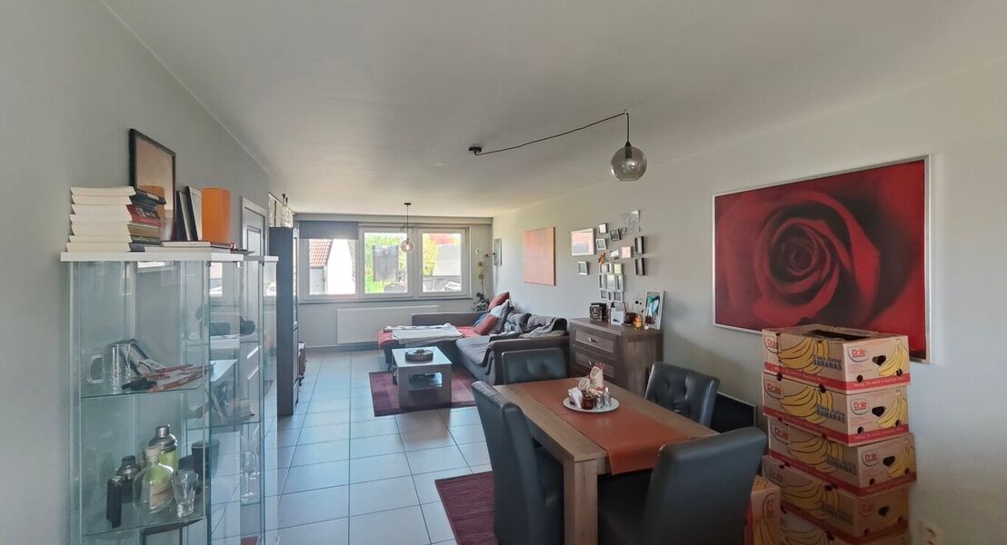 Duplex te huur in Opwijk