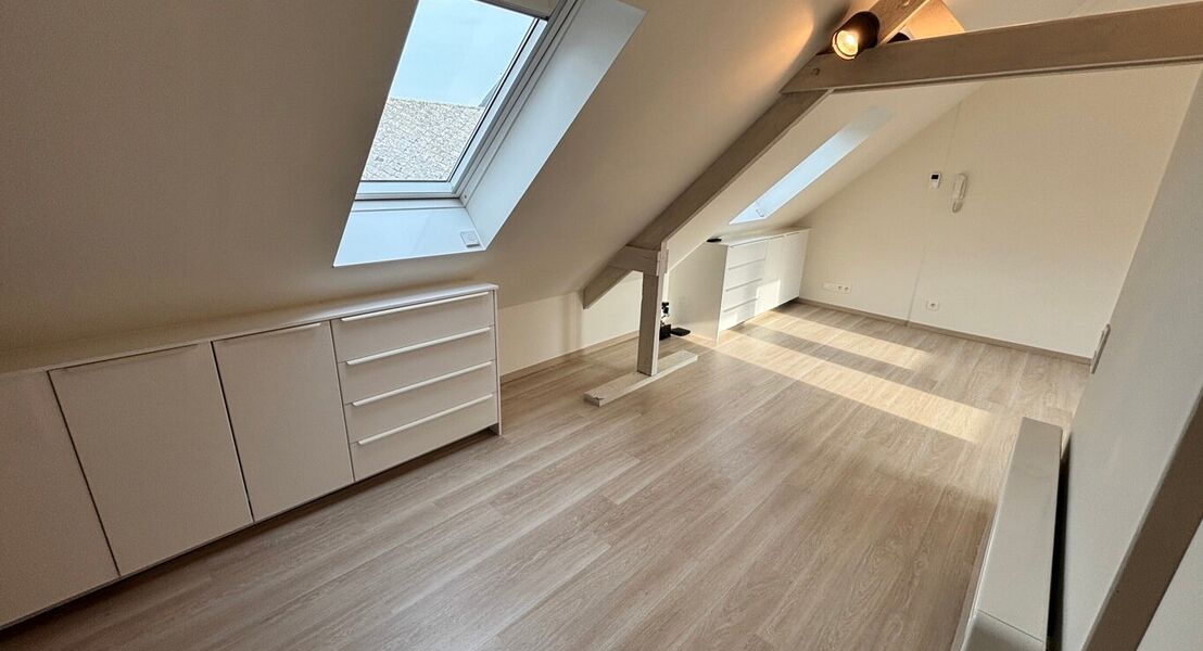 Duplex te huur in Opwijk